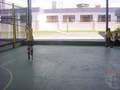 Picture 26